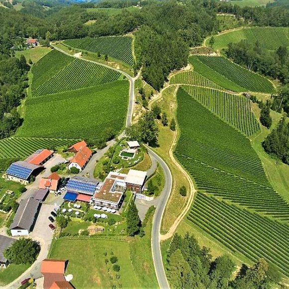 Weinbau Kollerhof-Lieleg